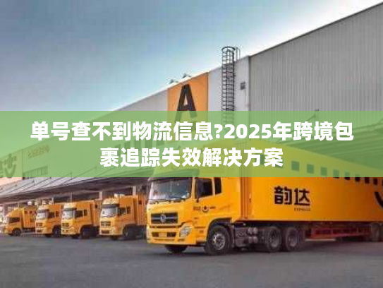 单号查不到物流信息?2025年跨境包裹追踪失效解决方案