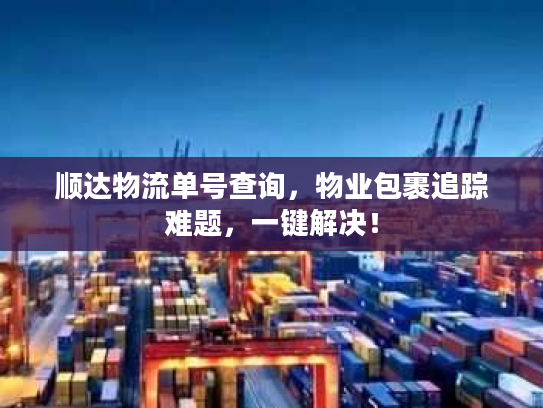 顺达物流单号查询，物业包裹追踪难题，一键解决！
