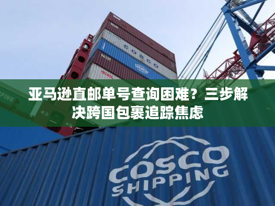 亚马逊直邮单号查询困难？三步解决跨国包裹追踪焦虑