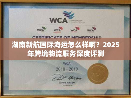 湖南新航国际海运怎么样啊？2025年跨境物流服务深度评测