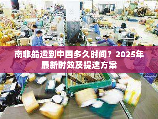 南非船运到中国多久时间？2025年最新时效及提速方案