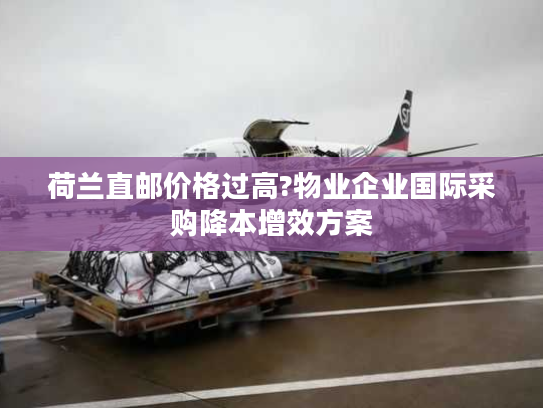 荷兰直邮价格过高?物业企业国际采购降本增效方案