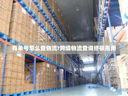 有单号怎么查物流?跨境物流查询终极指南 有单号怎么查物流?跨境物流查询终极指南