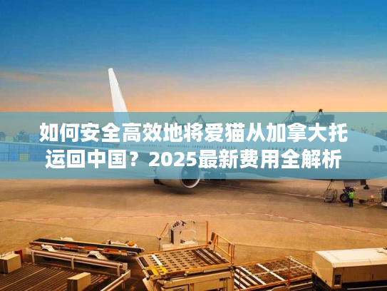 如何安全高效地将爱猫从加拿大托运回中国？2025最新费用全解析