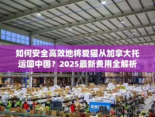 如何安全高效地将爱猫从加拿大托运回中国？2025最新费用全解析