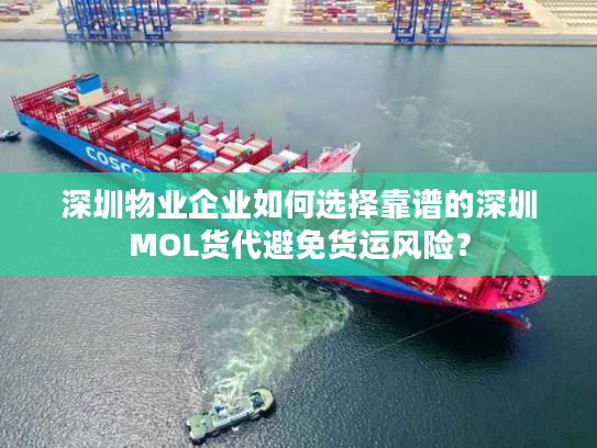 深圳物业企业如何选择靠谱的深圳MOL货代避免货运风险？