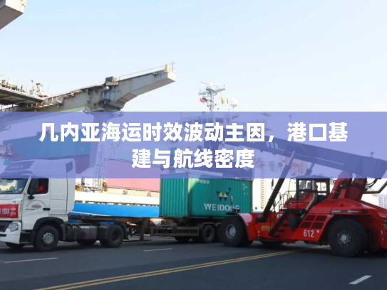 几内亚海运时效波动主因，港口基建与航线密度