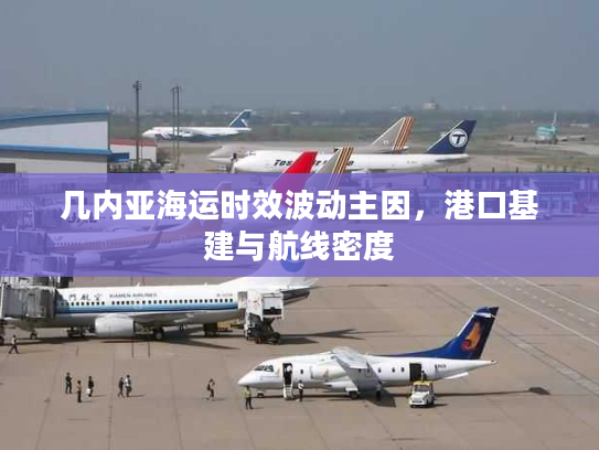 几内亚海运时效波动主因，港口基建与航线密度