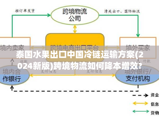 泰国水果出口中国冷链运输方案(2024新版)跨境物流如何降本增效?