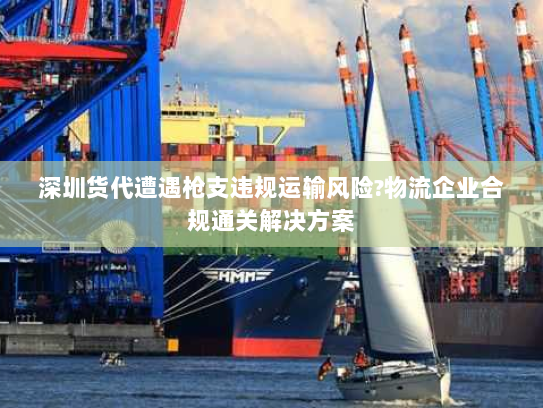 深圳货代遭遇枪支违规运输风险?物流企业合规通关解决方案 深圳货代遭遇枪支违规运输风险?物流企业合规通关解决方案