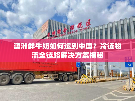 澳洲鲜牛奶如何运到中国？冷链物流全链路解决方案揭秘