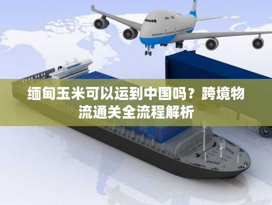 缅甸玉米可以运到中国吗?跨境物流通关全流程解析 缅甸玉米可以运到中国吗?跨境物流通关全流程解析