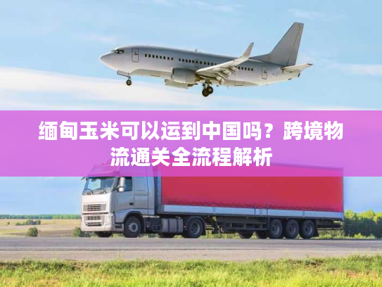 缅甸玉米可以运到中国吗?跨境物流通关全流程解析 缅甸玉米可以运到中国吗?跨境物流通关全流程解析