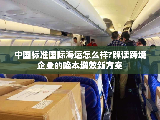 中国标准国际海运怎么样?解读跨境企业的降本增效新方案