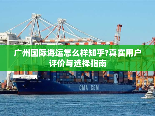 广州国际海运怎么样知乎?真实用户评价与选择指南