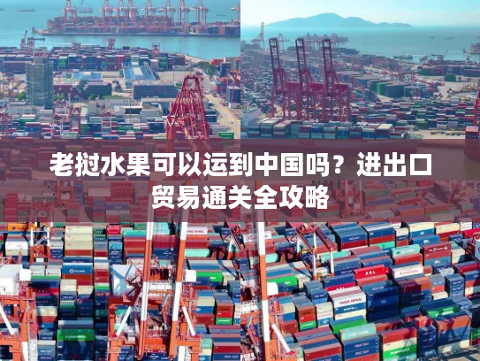 老挝水果可以运到中国吗？进出口贸易通关全攻略