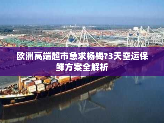欧洲高端超市急求杨梅?3天空运保鲜方案全解析