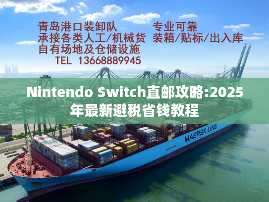 Nintendo Switch直邮攻略:2025年最新避税省钱教程