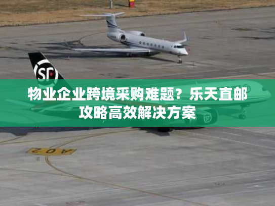 物业企业跨境采购难题？乐天直邮攻略高效解决方案