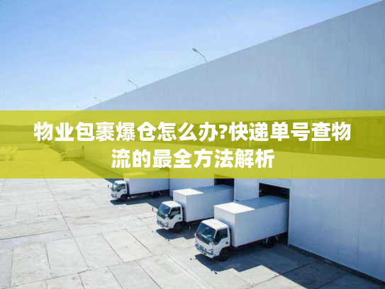 物业包裹爆仓怎么办?快递单号查物流的最全方法解析