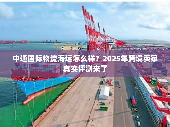 中通国际物流海运怎么样？2025年跨境卖家真实评测来了