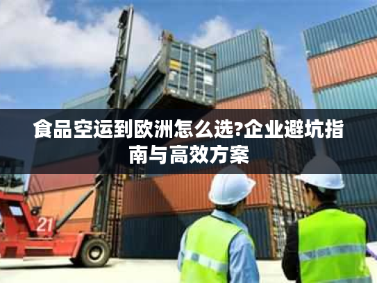 食品空运到欧洲怎么选?企业避坑指南与高效方案