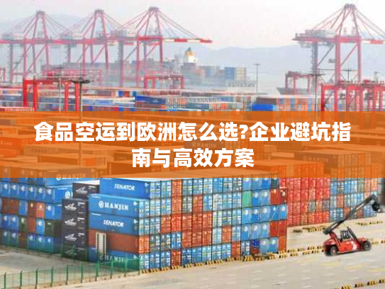 食品空运到欧洲怎么选?企业避坑指南与高效方案