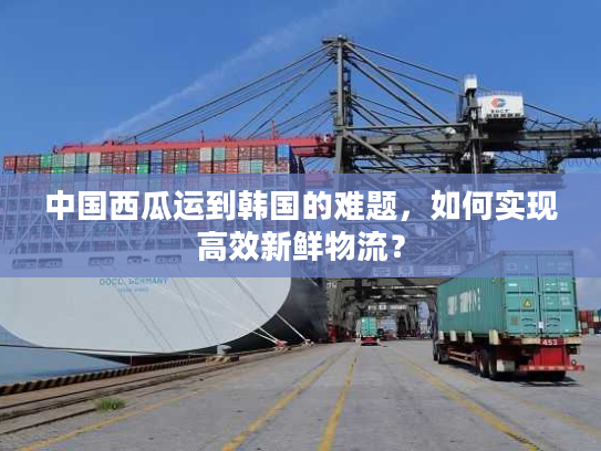 中国西瓜运到韩国的难题,如何实现高效新鲜物流? 中国西瓜运到韩国的难题,如何实现高效新鲜物流?