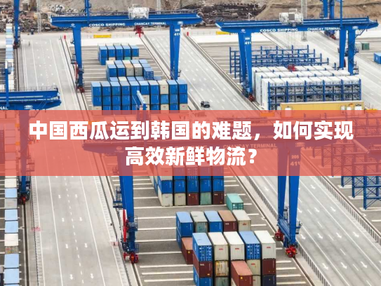 中国西瓜运到韩国的难题,如何实现高效新鲜物流? 中国西瓜运到韩国的难题,如何实现高效新鲜物流?