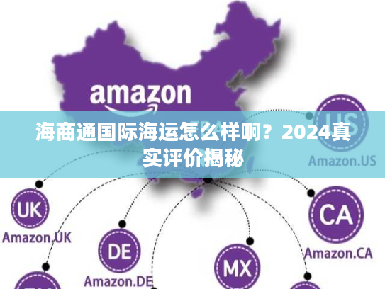 海商通国际海运怎么样啊？2024真实评价揭秘
