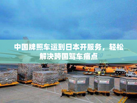 中国牌照车运到日本开服务，轻松解决跨国驾车痛点