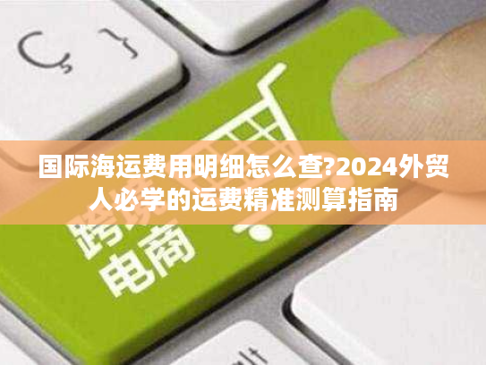国际海运费用明细怎么查?2024外贸人必学的运费精准测算指南 国际海运费用明细怎么查?2024外贸人必学的运费精准测算指南