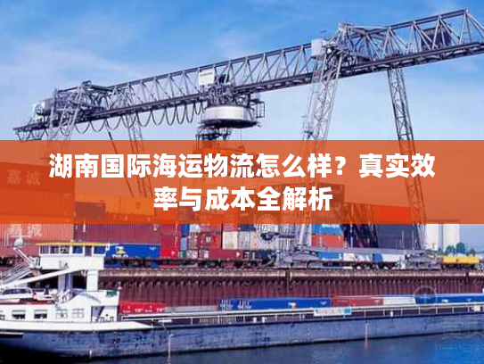 湖南国际海运物流怎么样？真实效率与成本全解析