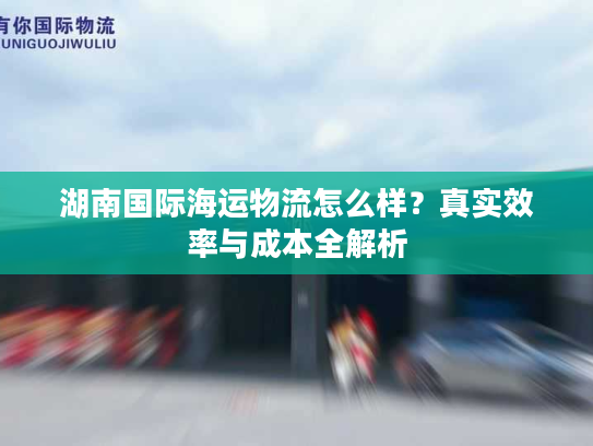 湖南国际海运物流怎么样？真实效率与成本全解析