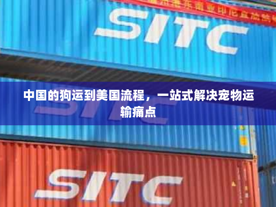 中国的狗运到美国流程，一站式解决宠物运输痛点