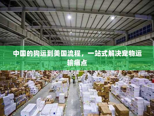 中国的狗运到美国流程，一站式解决宠物运输痛点