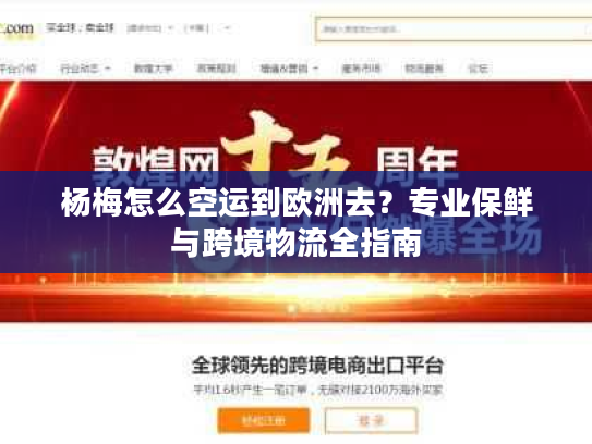 杨梅怎么空运到欧洲去？专业保鲜与跨境物流全指南