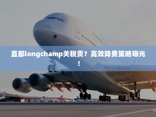 直邮longchamp关税贵？高效降费策略曝光！