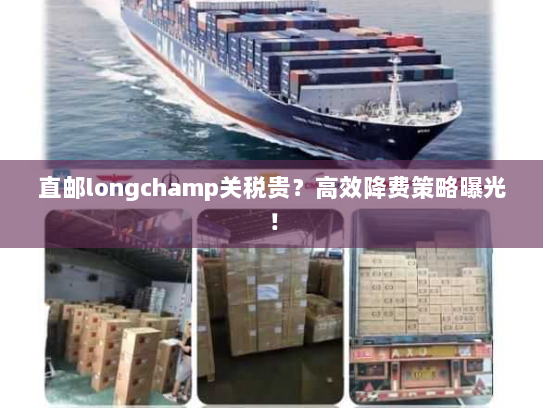 直邮longchamp关税贵？高效降费策略曝光！