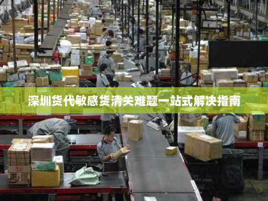 深圳货代敏感货清关难题一站式解决指南