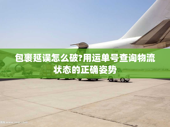 包裹延误怎么破?用运单号查询物流状态的正确姿势