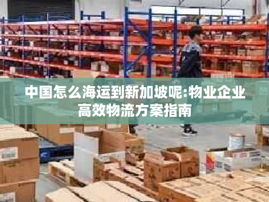 中国怎么海运到新加坡呢:物业企业高效物流方案指南 中国怎么海运到新加坡呢:物业企业高效物流方案指南