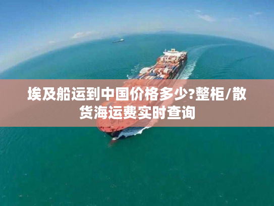 埃及船运到中国价格多少?整柜/散货海运费实时查询