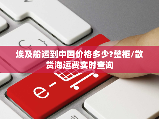 埃及船运到中国价格多少?整柜/散货海运费实时查询