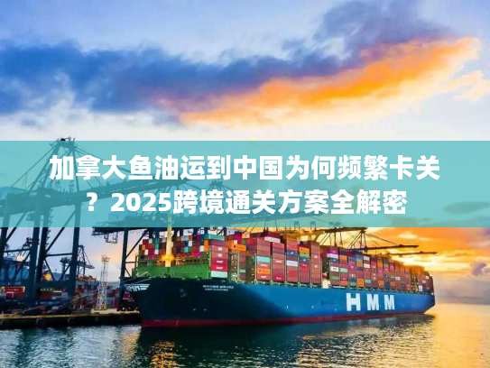 加拿大鱼油运到中国为何频繁卡关？2025跨境通关方案全解密