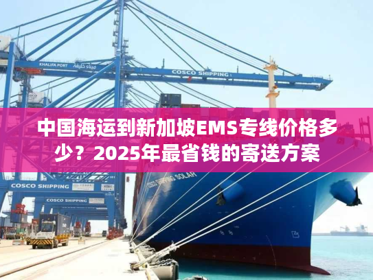 中国海运到新加坡EMS专线价格多少？2025年最省钱的寄送方案