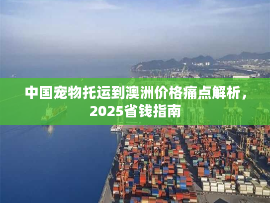 中国宠物托运到澳洲价格痛点解析，2025省钱指南