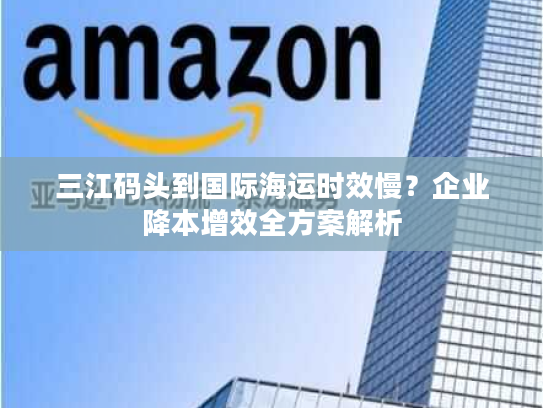 三江码头到国际海运时效慢？企业降本增效全方案解析
