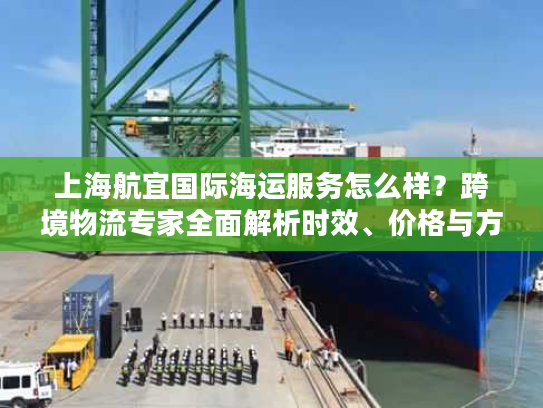 上海航宜国际海运服务怎么样？跨境物流专家全面解析时效、价格与方案