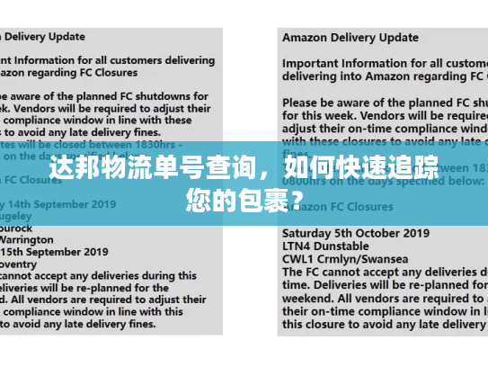 达邦物流单号查询，如何快速追踪您的包裹？